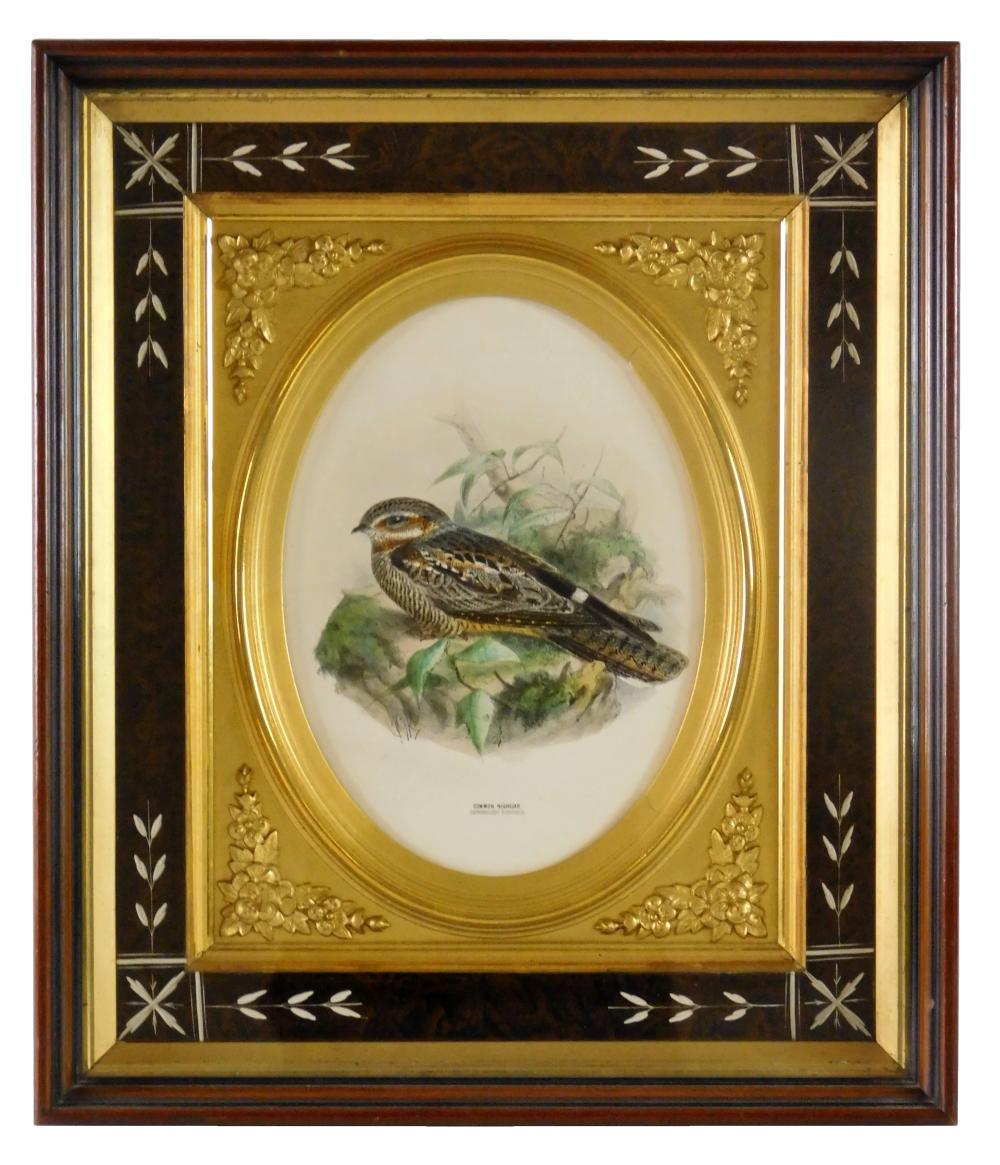HENRY DRESSER (1871-1898), HAND