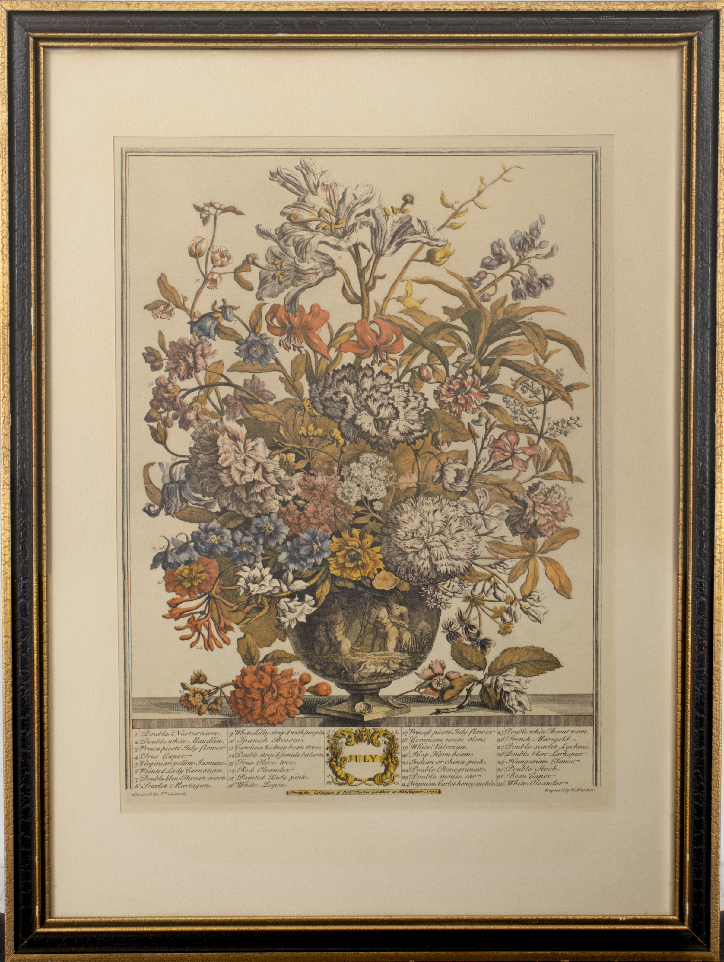 HENRY FLETCHER 18TH C. BOTANICAL