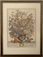 HENRY FLETCHER 18TH C. BOTANIC