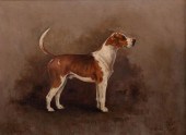 HENRY FREDERICK LUCAS LUCAS, B