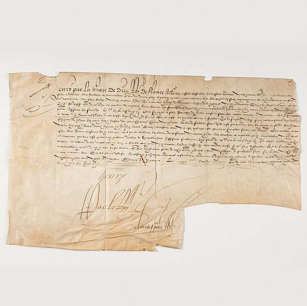 Henry II of France DS Henry II of