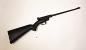 HENRY REPEATING ARMS "U.S. SUR