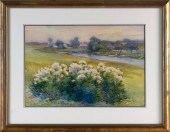HENRY WEBSTER RICE (MASSACHUSE