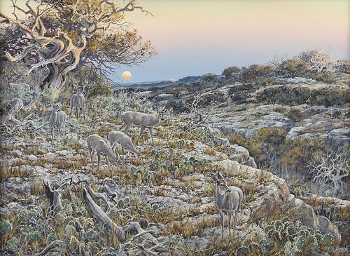 HERB BOOTH (AMERICAN/TEXAS
