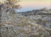 HERB BOOTH (AMERICAN/TEXAS 194
