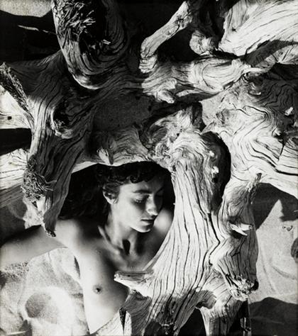 HERBERT MATTER  (swiss/american