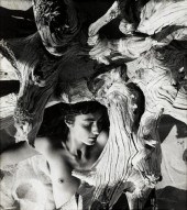 HERBERT MATTER  (swiss/america