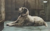 HERBERT THOMAS DICKSEE (BRITIS