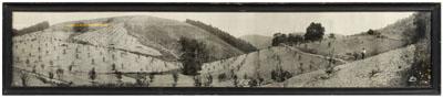 Herbert W. Pelton photograph