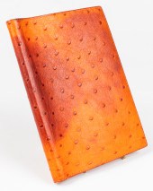 HERMES ORANGE OSTRICH GLOBE TR
