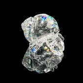 HERMIT CRAB - SWAROVSKI CRYSTA