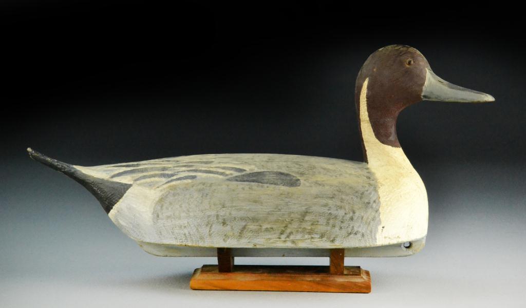 HFD Pintail Drake Duck
