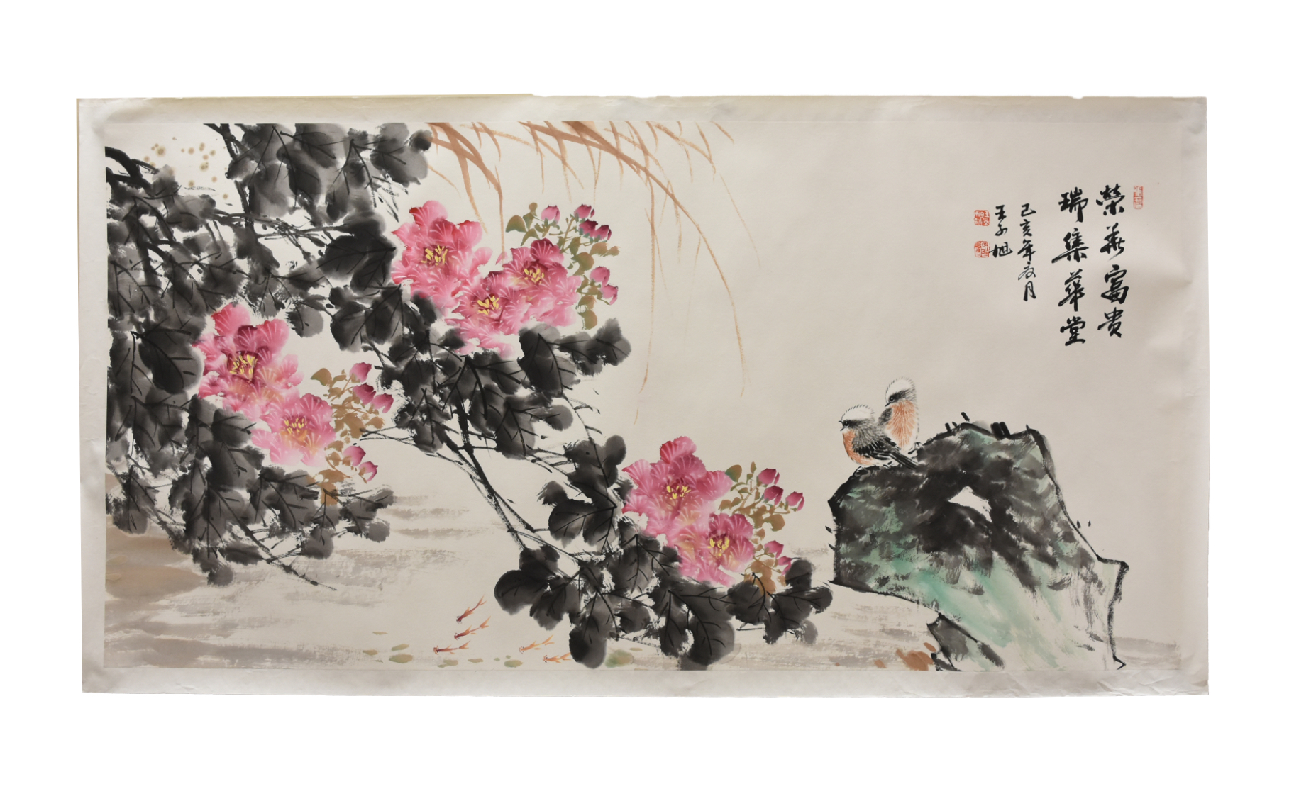 HIBISCUS FLOWERS & CHICKS