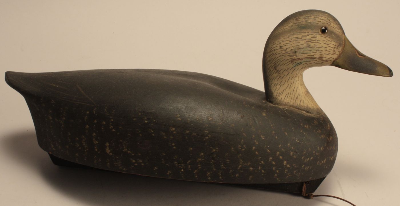 HIGH HEAD BLACK DUCK DECOYBy the