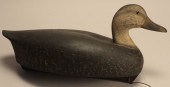 HIGH HEAD BLACK DUCK DECOYBy t