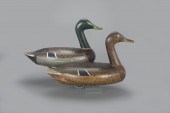 HIGH-HEAD MALLARD PAIRWalter "