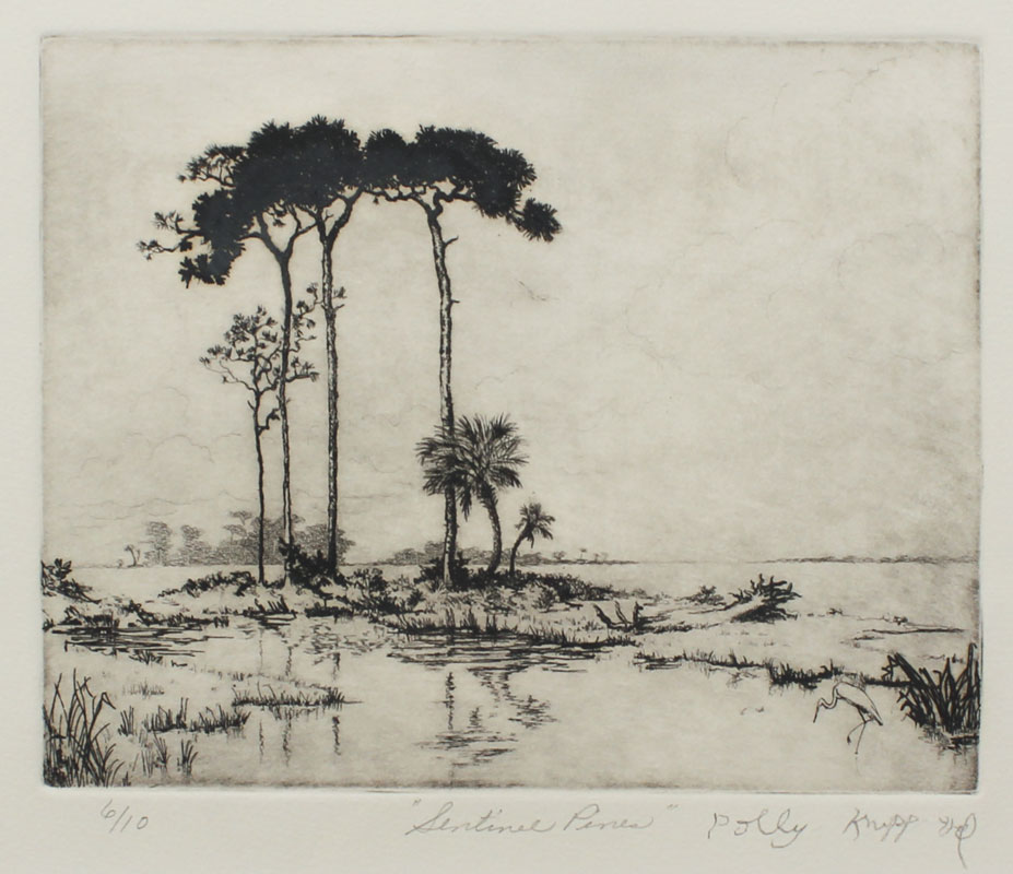 HILL Polly Knipp (American