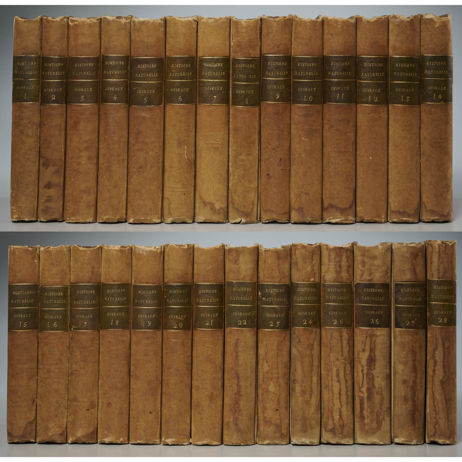 HISTOIRE NATURELLE DES OISEAUX,