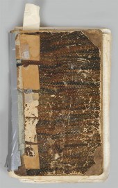 HISTORY AND GENEALOGY OF THE P