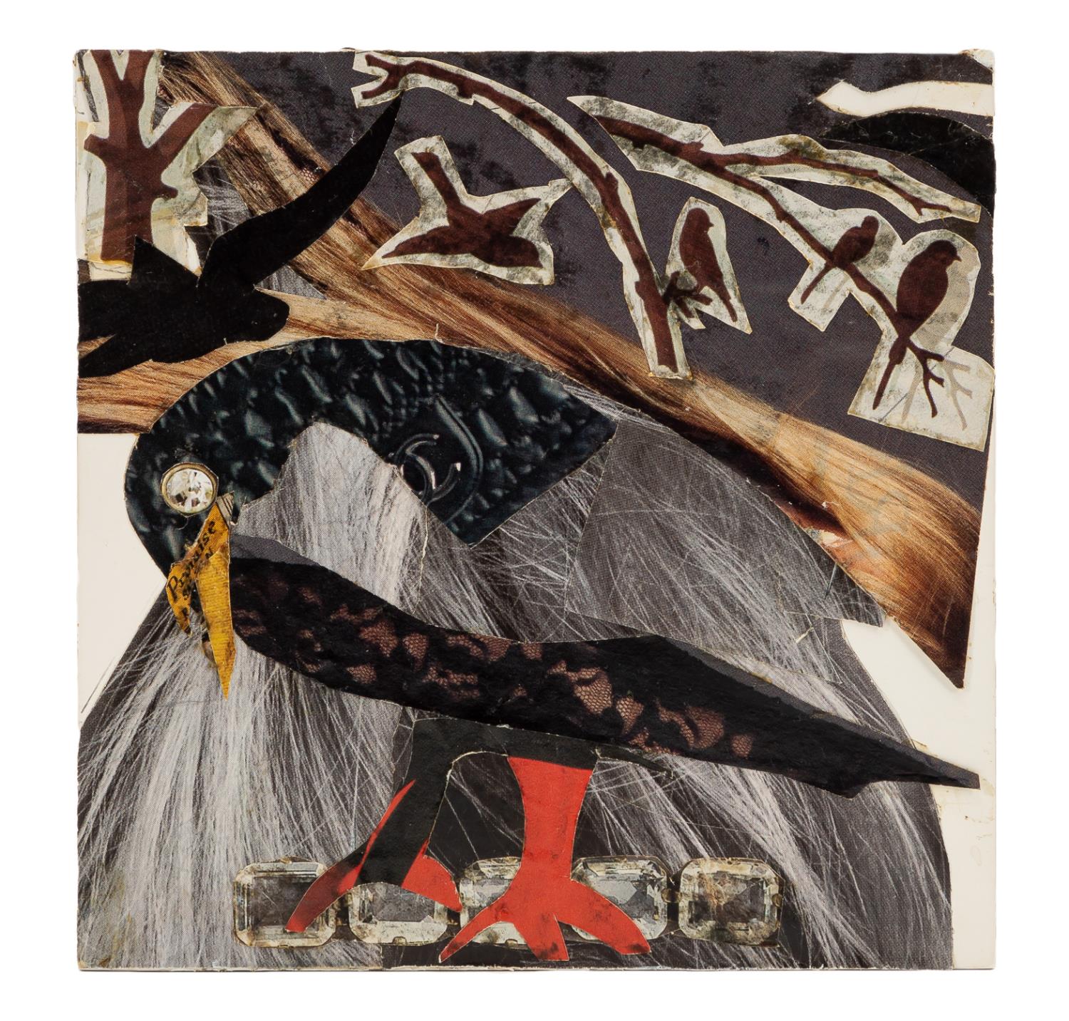 HOLLIS HILDEBRAND-MILLS, "BLACK