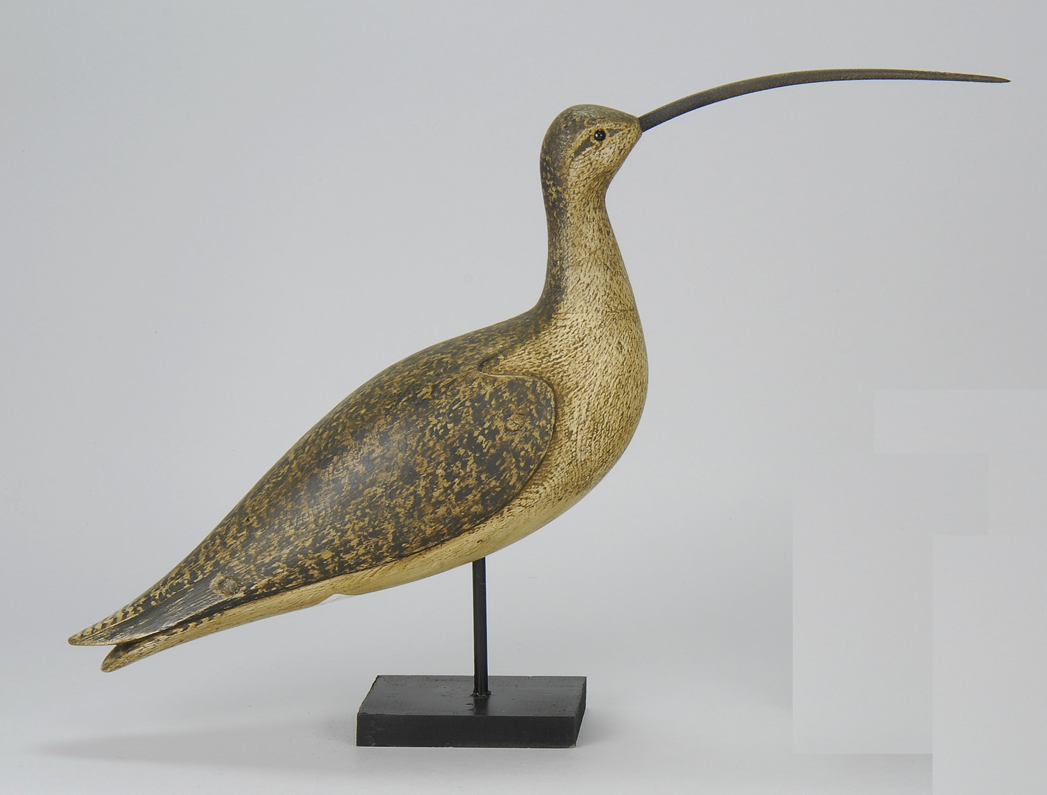 HOLLOW-CARVED CURLEW DECOYBy