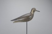 HOLLOW GOLDEN PLOVERMark S. Mc