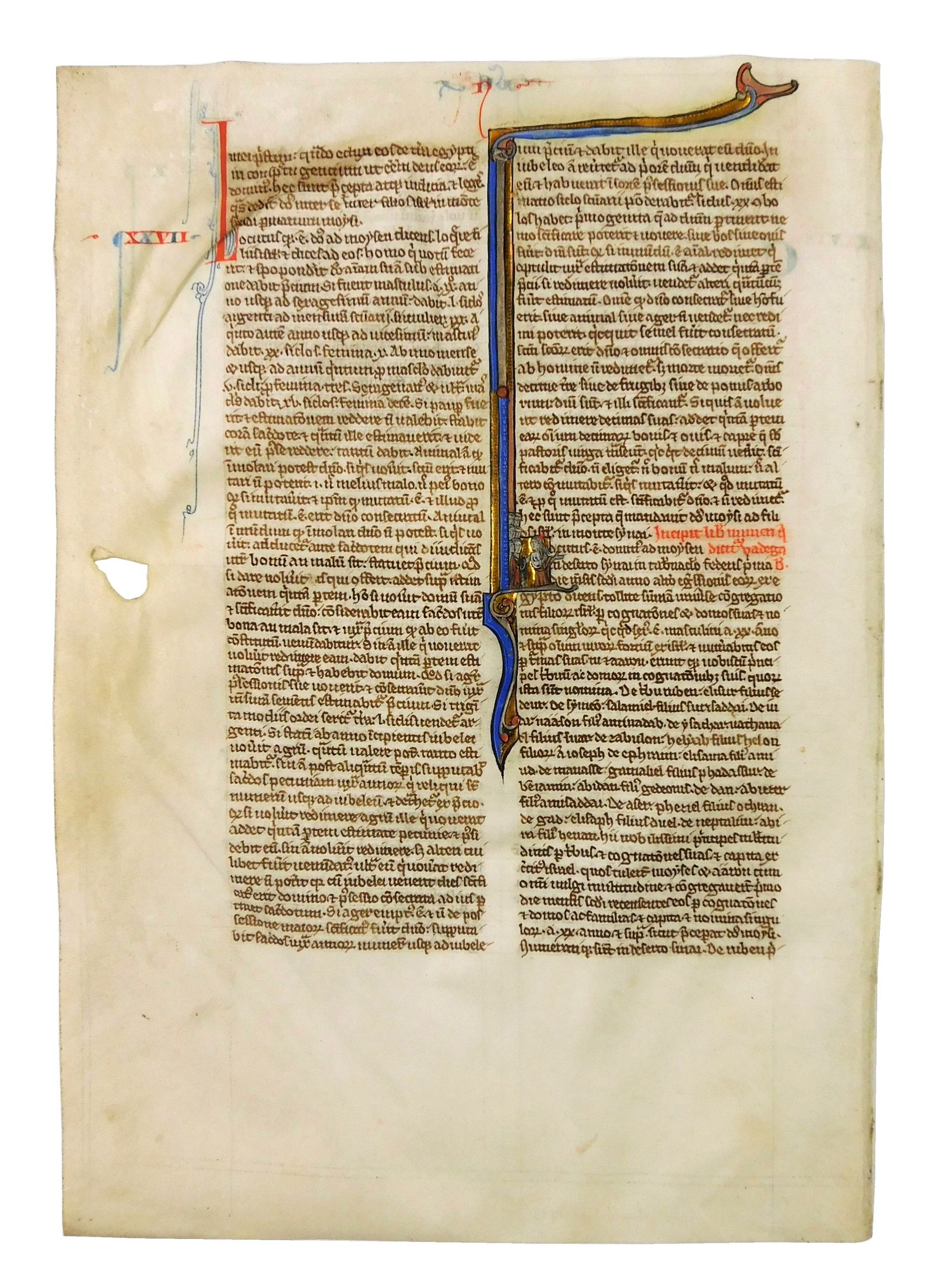 HOLY BIBLE: AN ILLUMINATED