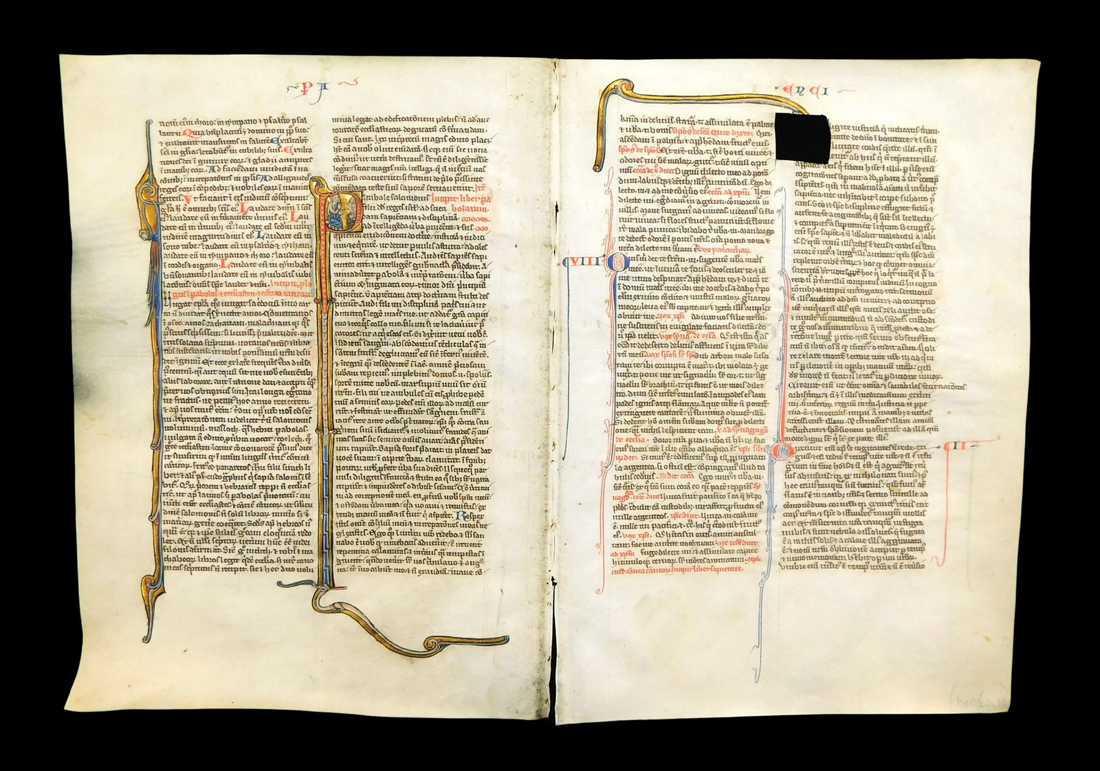 HOLY BIBLE: ILLUMINATED BIBLE