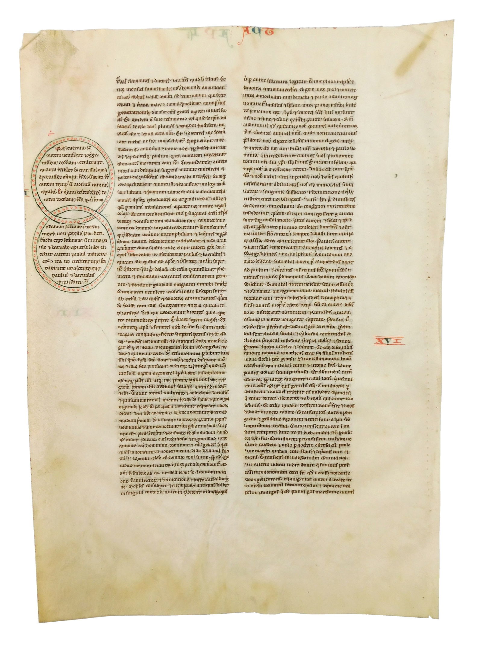 HOLY BIBLE: ILLUMINATED