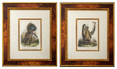 HONNEGER AFTER BODMER INDIAN P