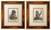 HONNEGER AFTER BODMER INDIAN P