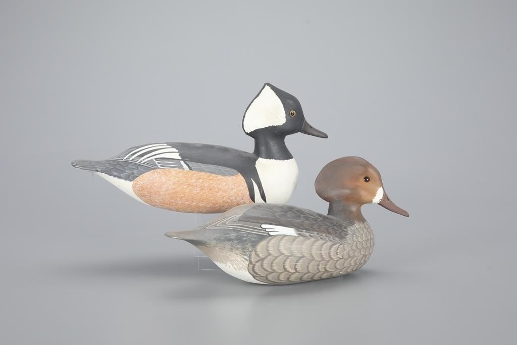 HOODED MERGANSER PAIRHarry