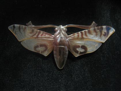Horn "moth" brooch    Carved horn
