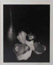 HORST P. HORST, AMERICAN/GERMA