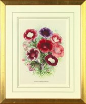 Horto Van Houtteano (Belgian,