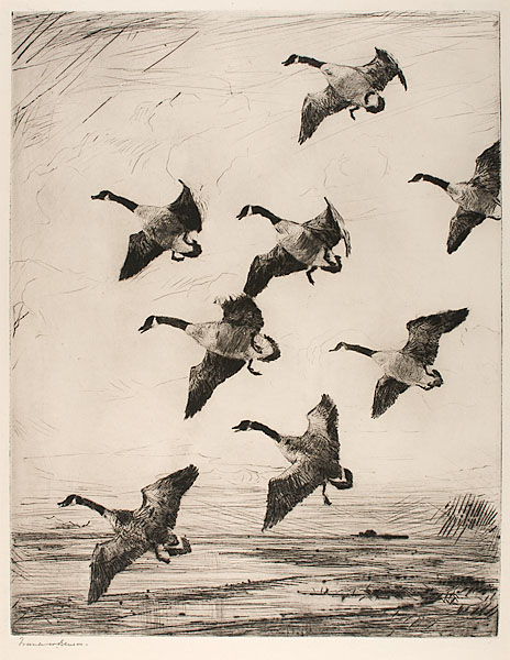 Hovering Geese by Frank Weston