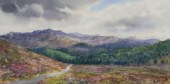 HOWARD BUTTERWORTH (B.1945) SC