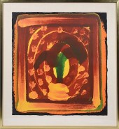 HOWARD ELIOT HODGKIN (BR/AM 19