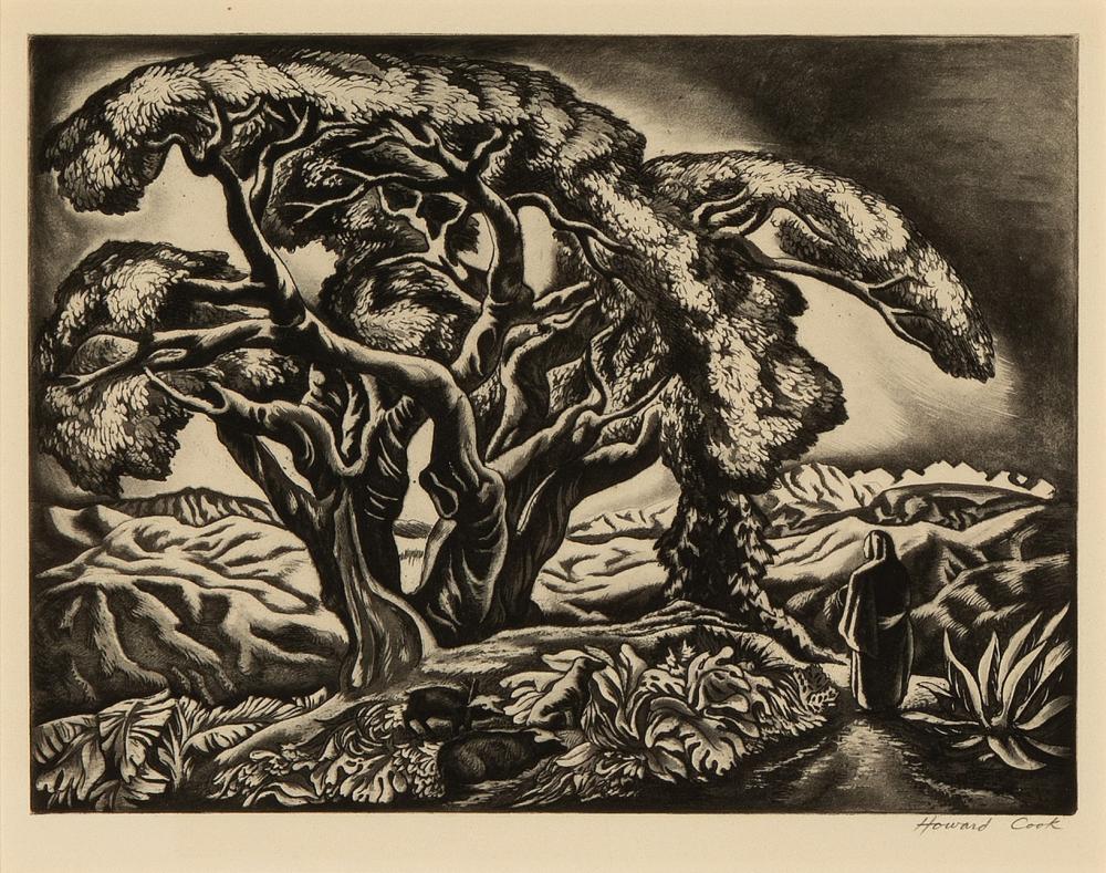 HOWARD NORTON COOK, DESERT TREE,