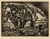 HOWARD NORTON COOK, DESERT TRE