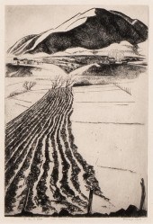 HOWARD NORTON COOK, TALPA FURR
