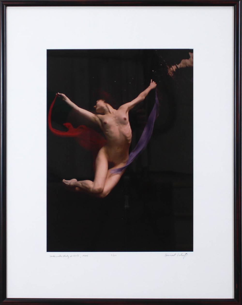 HOWARD SCHATZ COLOR