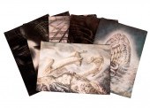 H.R. GIGER (1940 - 2014): LARG