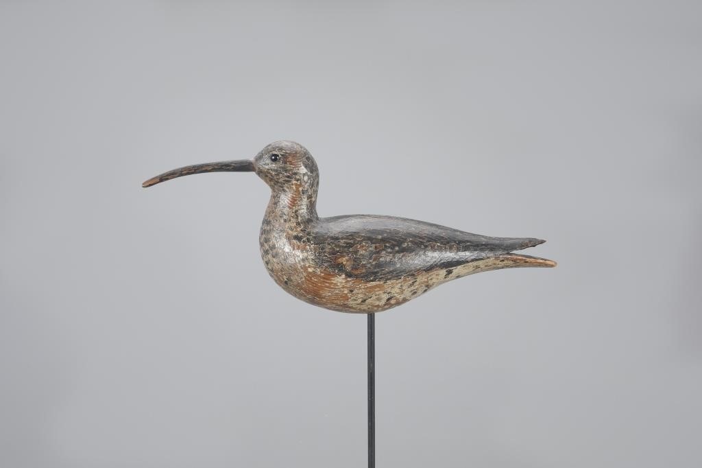 HUDSONIAN CURLEWA. Elmer Crowell