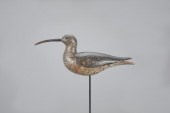HUDSONIAN CURLEWA. Elmer Crowe