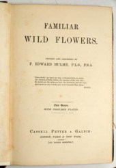 Hulme (F E) Familiar Wild Flow