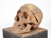 HUMAN SCIENTIFIC STUDY MEDICAL