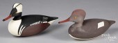 HURLEY CONKLIN HOODED MERGANSE