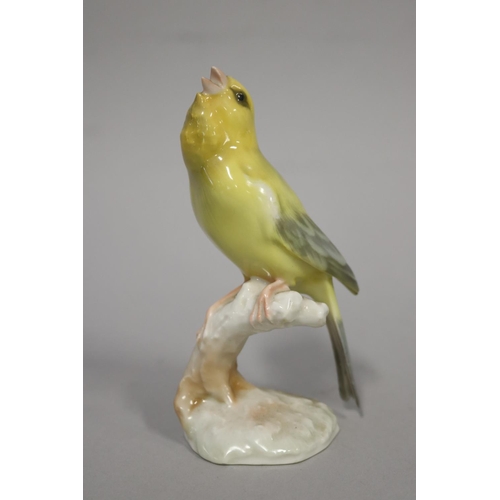 Hutschenreuther yellow canary