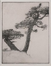 HUTTON WEBSTER, JR., AMERICAN